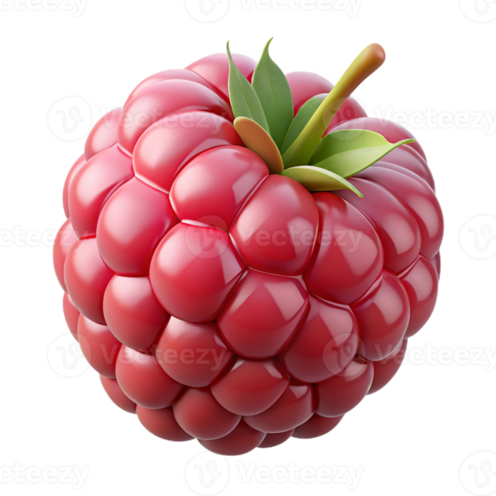 magnificent minimalist Single Raspberry Close Up Isolated Transparent Background high quality png