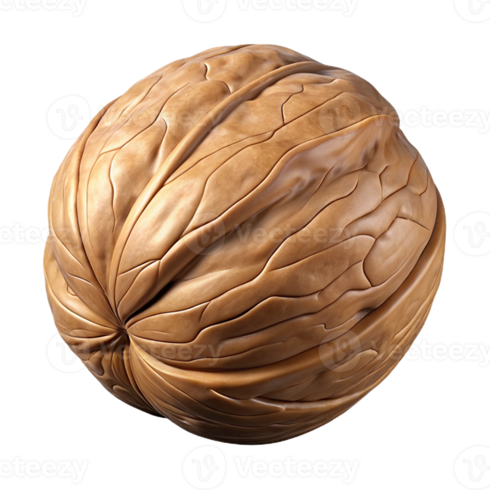 extraordinary classic Single Walnut Isolated Element original png