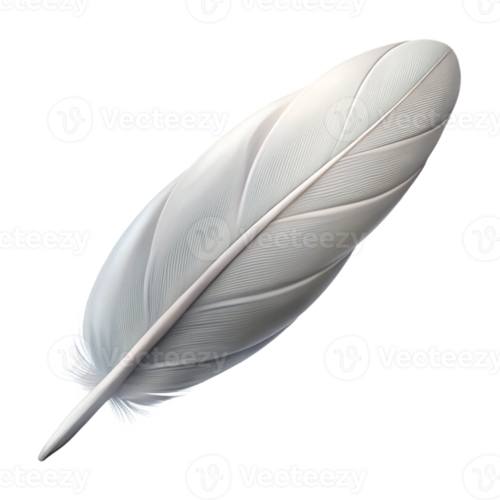 wonderful modern Single White Feather Side Angle Transparent Background authentic png