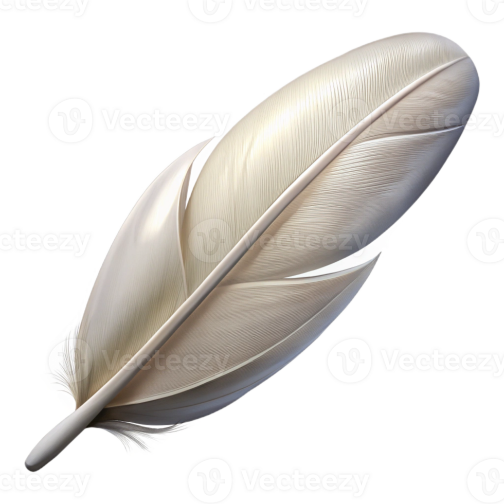 serene abstract Single White Feather Side Angle Transparent Background high quality png