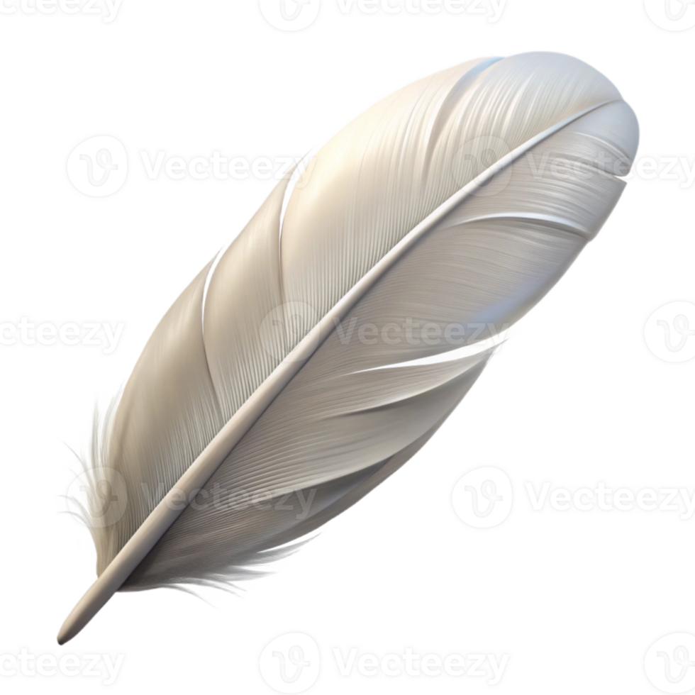 stunning rustic Single White Feather Side Angle Transparent Background authentic png