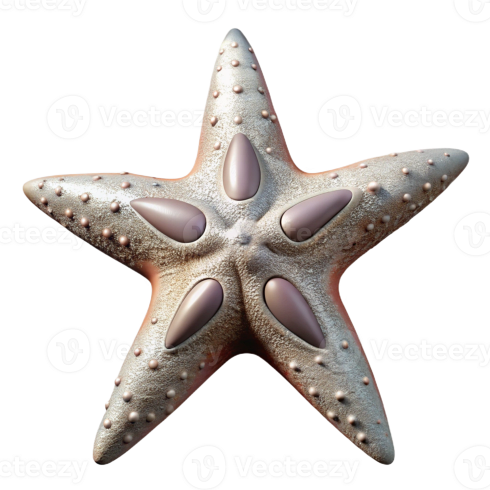 stunning rustic Starfish Five Point Symmetry Orange Texture Cutout Element detailed png