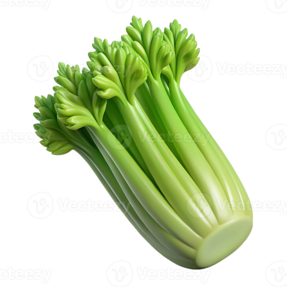 dramatic modern Synthetic Celery Stalk Green Ribs Cutout high resolution png