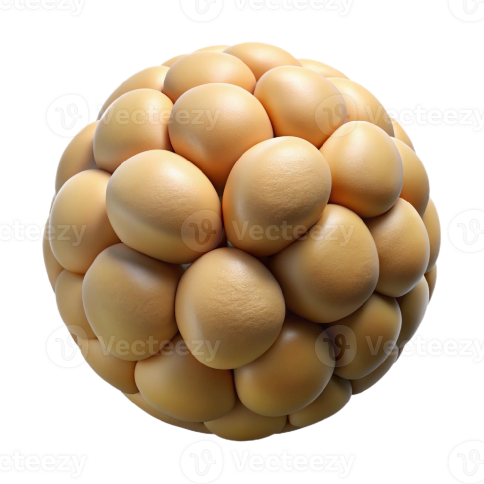 wonderful rustic Synthetic Chickpea Seed Round Shape Isolated exclusive png