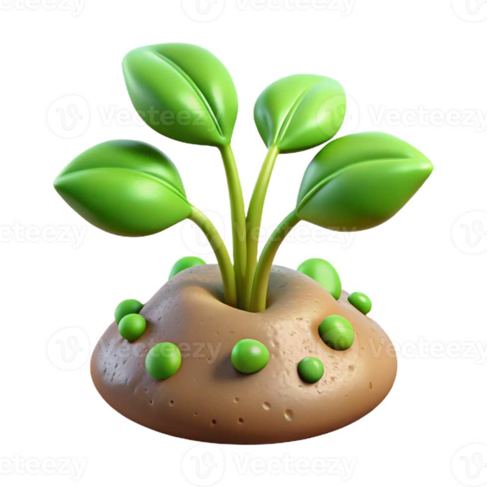 extraordinary traditional Time Lapse Plant Growth Sequence Isolated original png