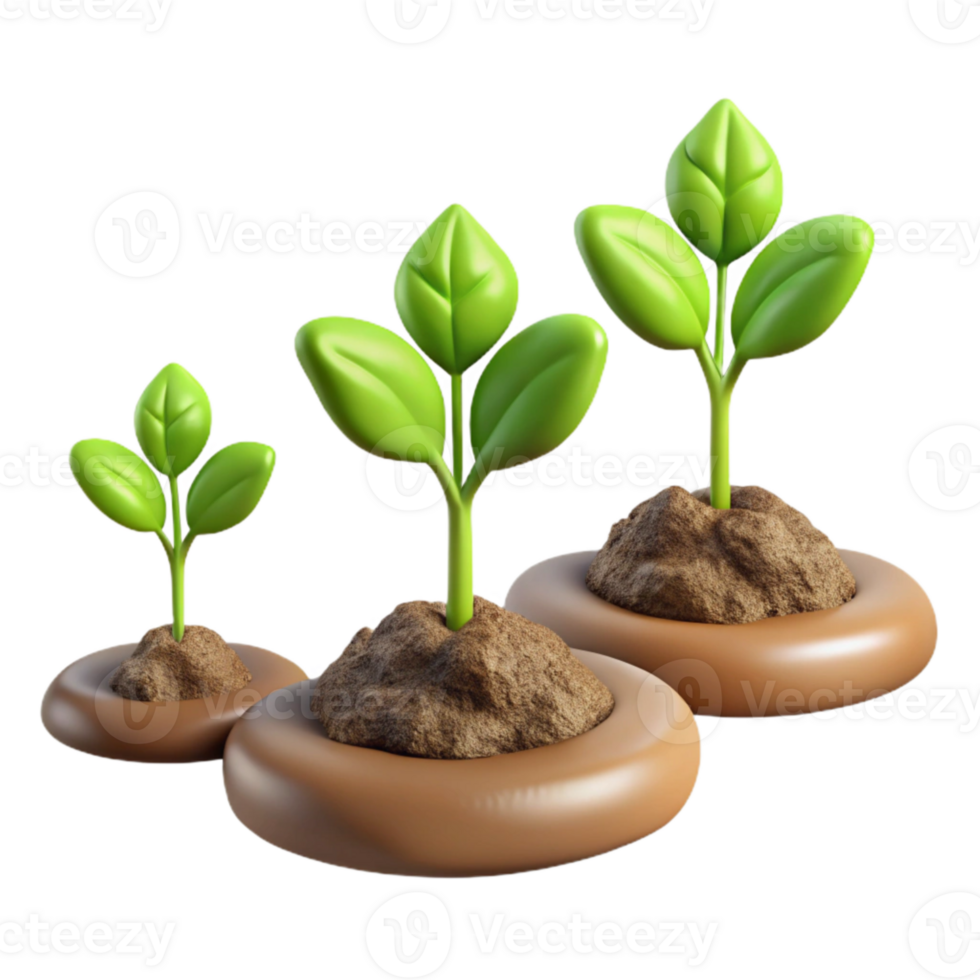 impressive classic Time Lapse Plant Growth Sequence Isolated genuine png