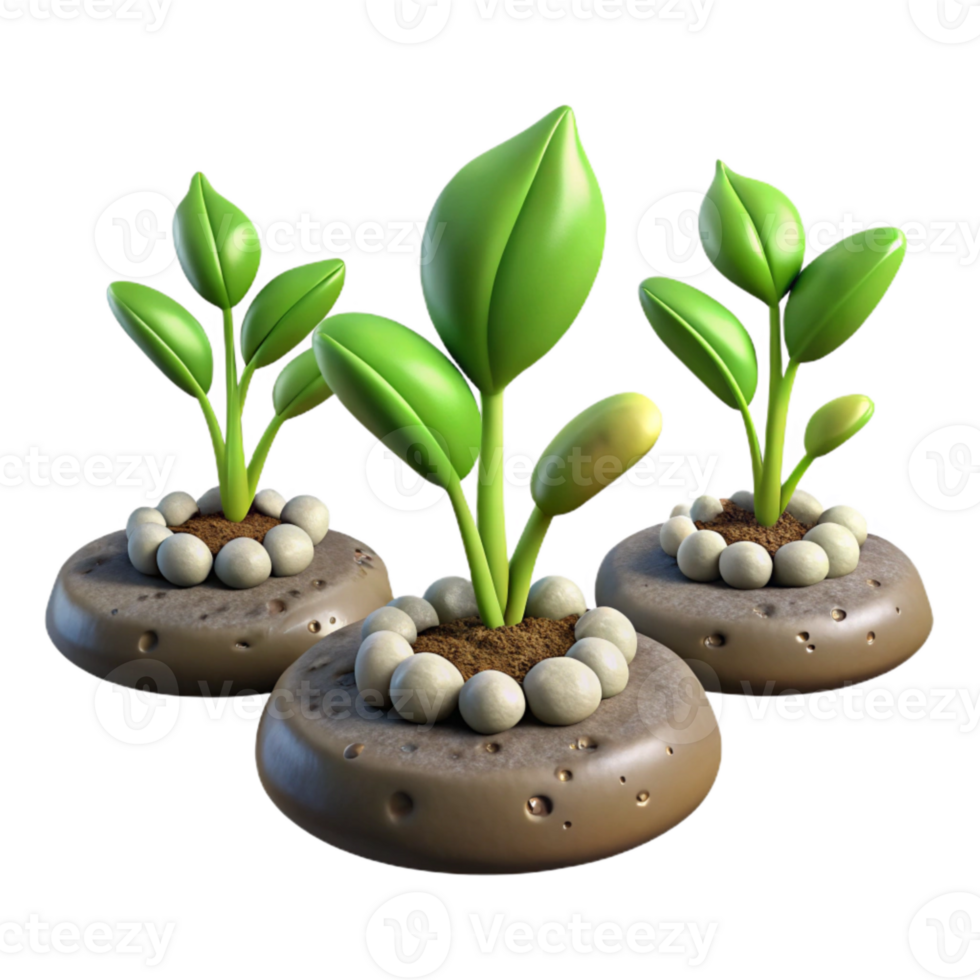 elegant creative Time Lapse Plant Growth Sequence Isolated professional png
