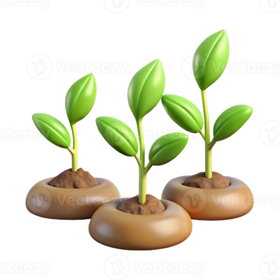 extraordinary abstract Time Lapse Plant Growth Sequence Isolated genuine png