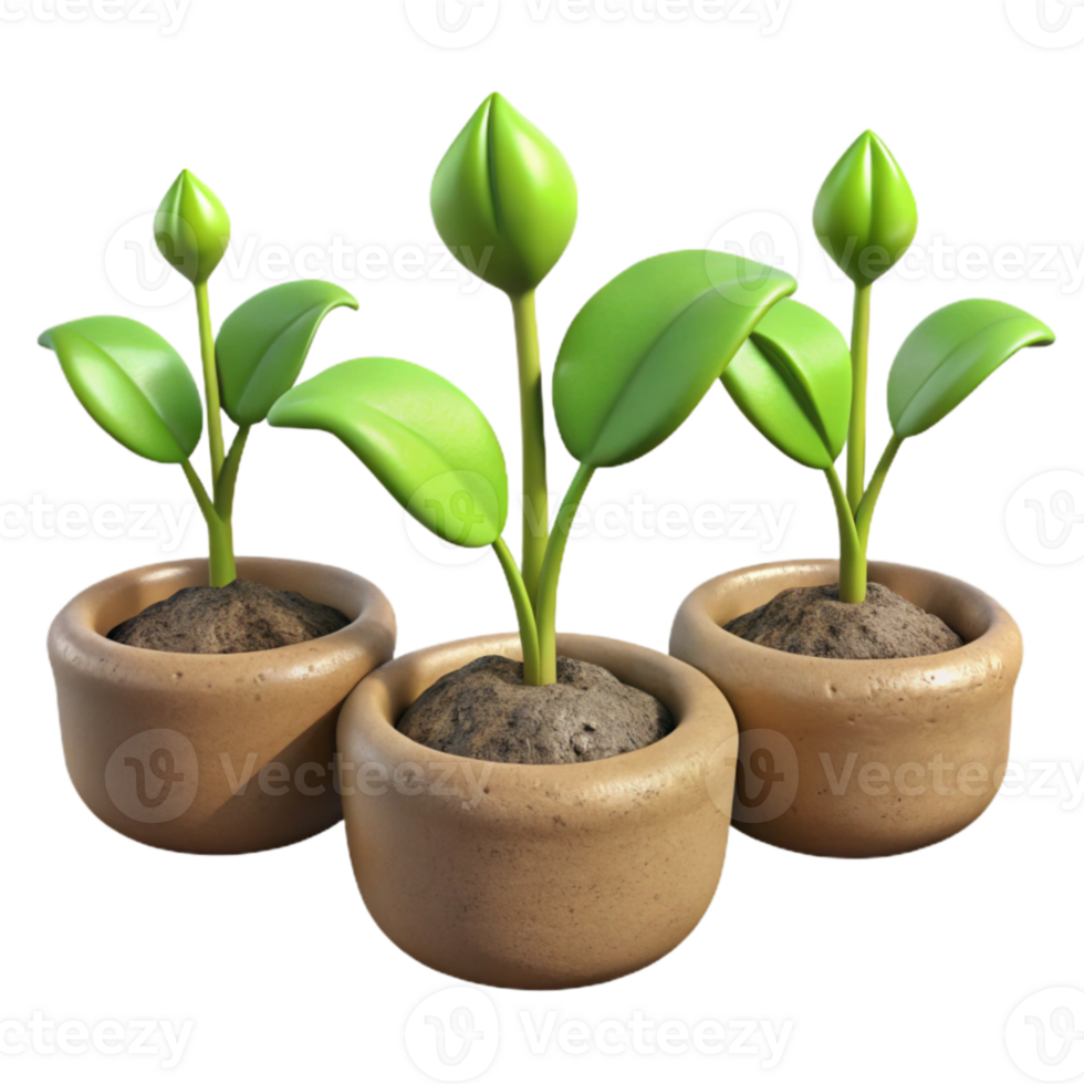 stunning contemporary Time Lapse Plant Growth Sequence Isolated premium png