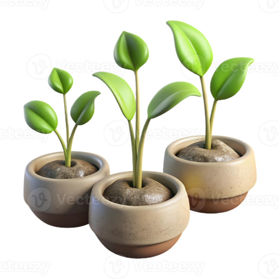 vibrant rustic Time Lapse Plant Growth Sequence Isolated professional png