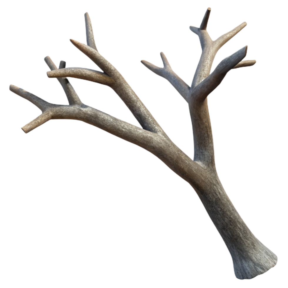 wonderful creative Tree Branch Silhouette Transparent Background Cutout premium png