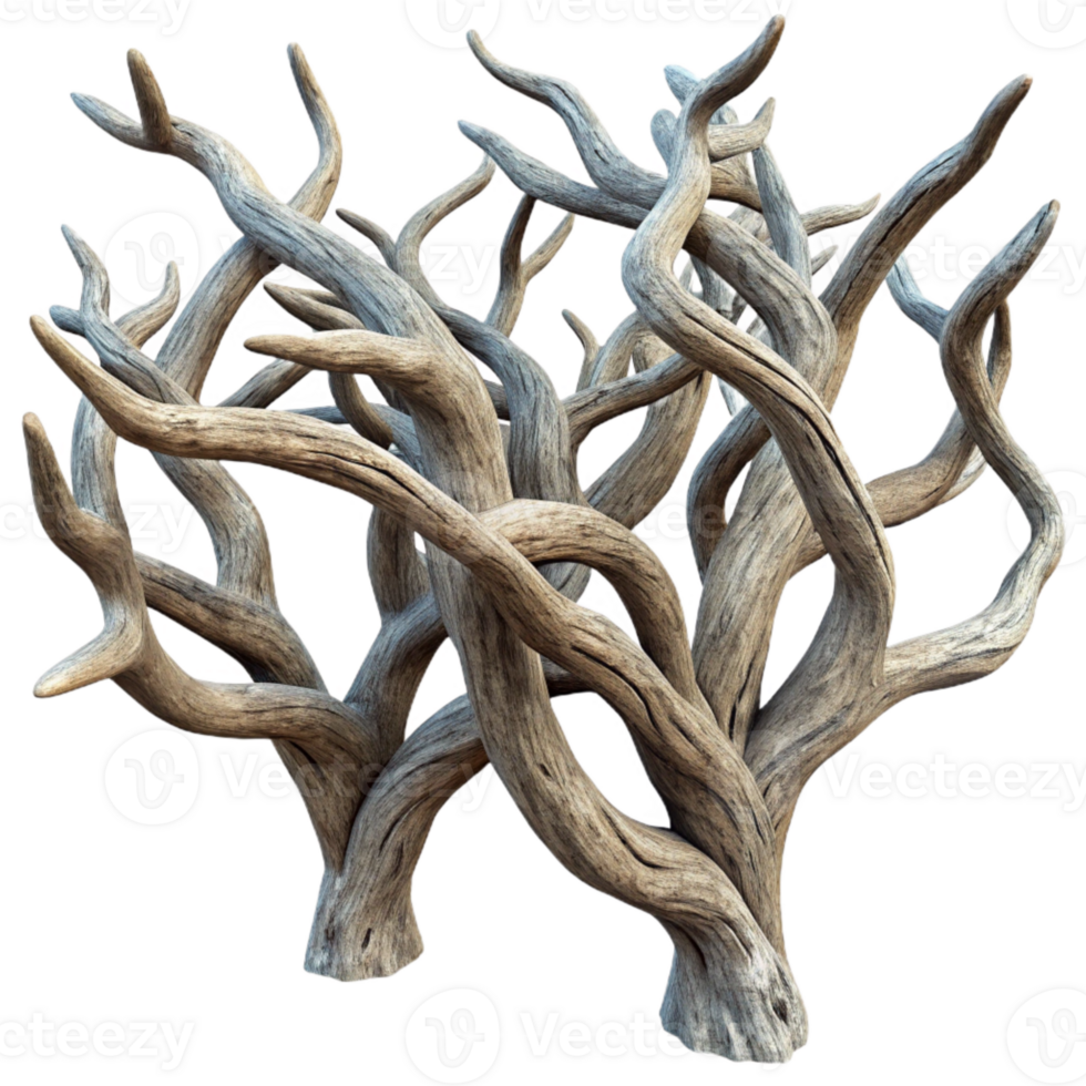 magnificent minimalist Twisted Branches with Grunge Texture detailed png