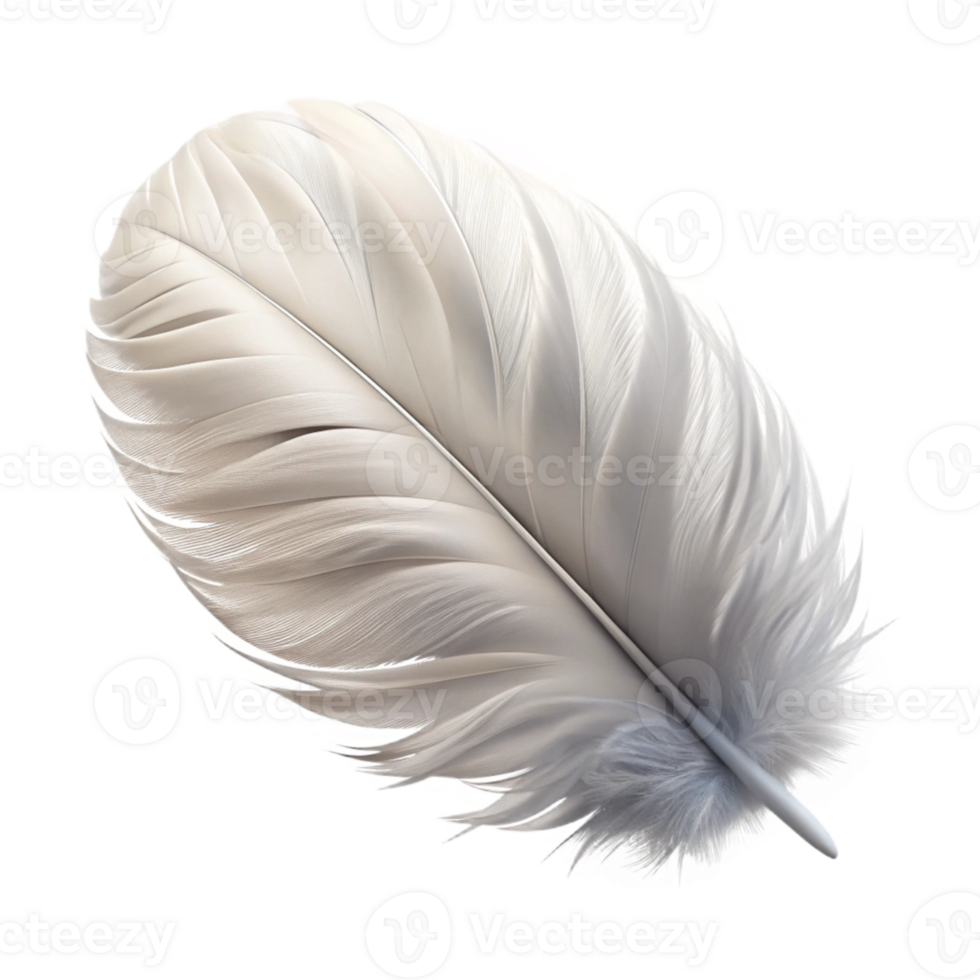 impressive artistic White Feather Cutout with Soft Fluff high quality png