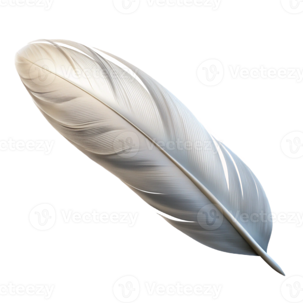 vibrant abstract White Feather Floating Downward Isolated Transparent original png