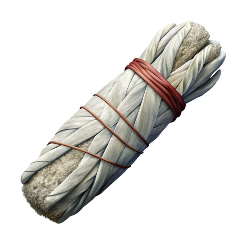 elegant minimalist White Sage Smudge Stick Isolated Top View original png