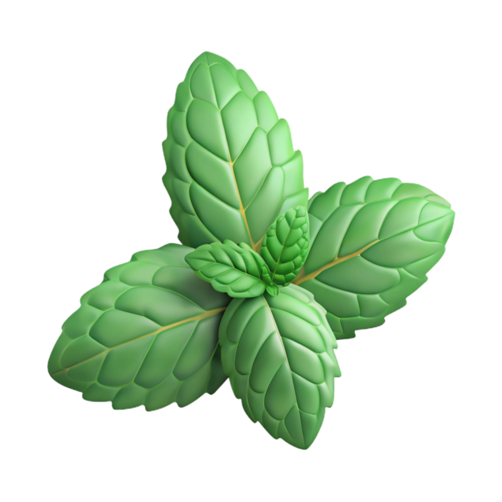 magnificent abstract Peppermint Sprig Isolated with Fresh Look high resolution png