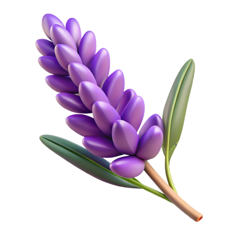 beautiful rustic Purple Lavender Sprig Cutout Isolated with Fragrant Flowers exclusive png