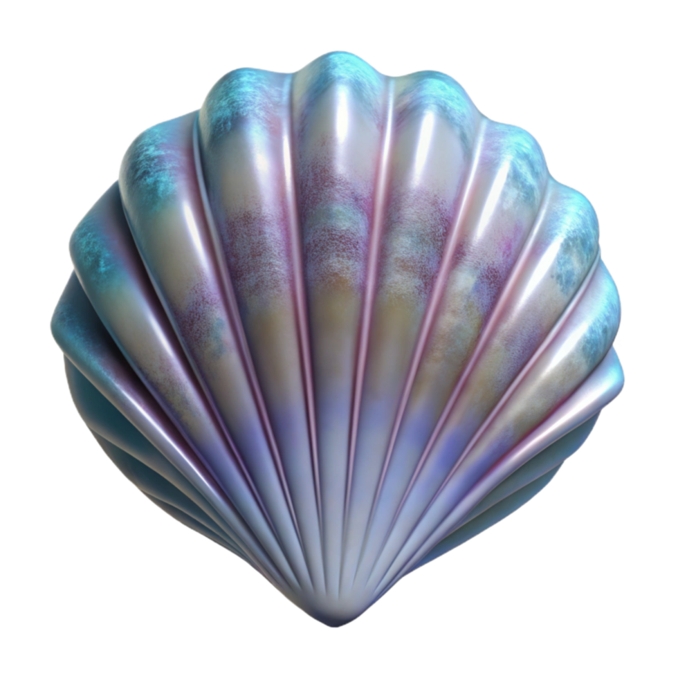 magnificent classic Seashell Texture Transparent Background Cutout genuine png
