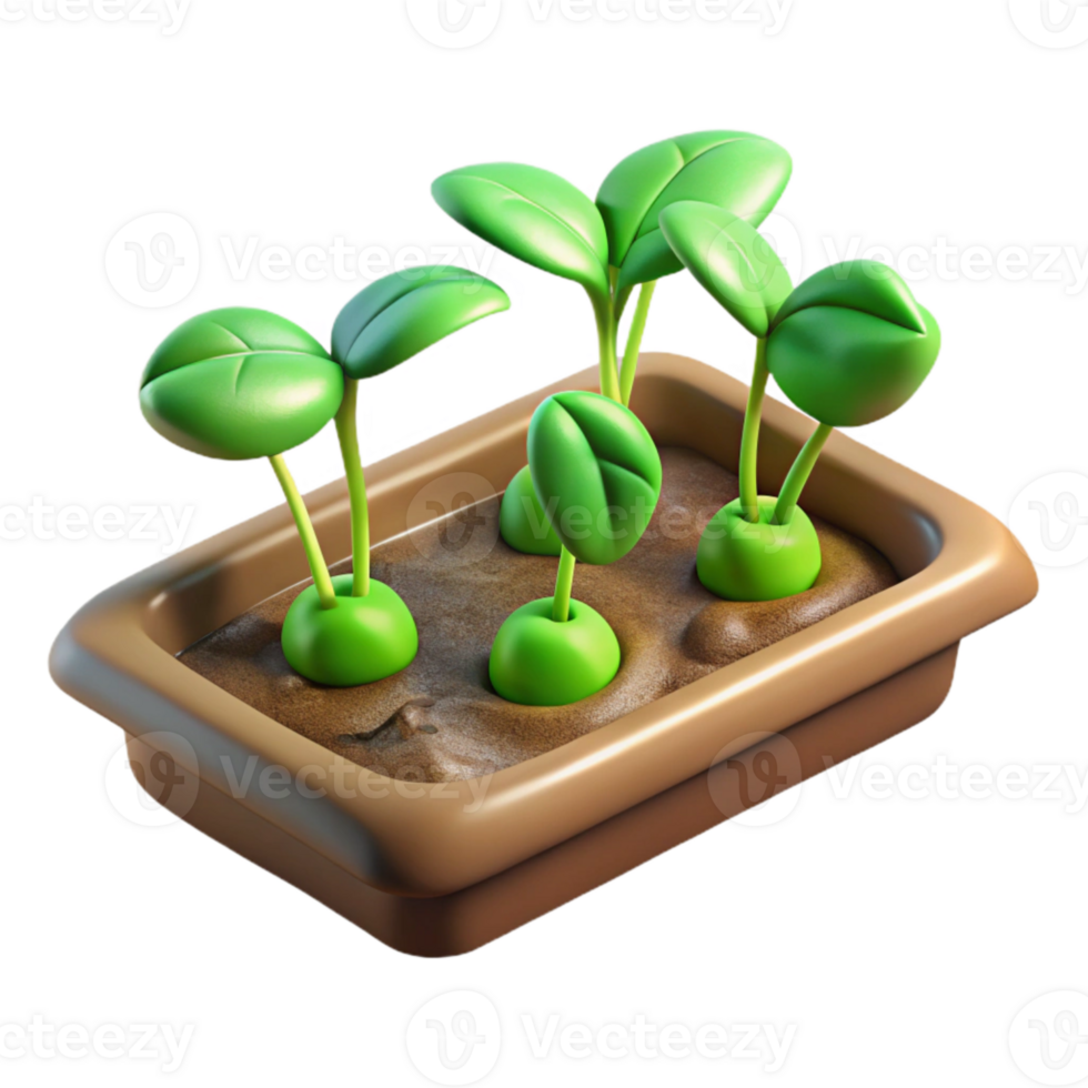 impressive rustic Seedling Tray Green Sprouts Transparent Background detailed png