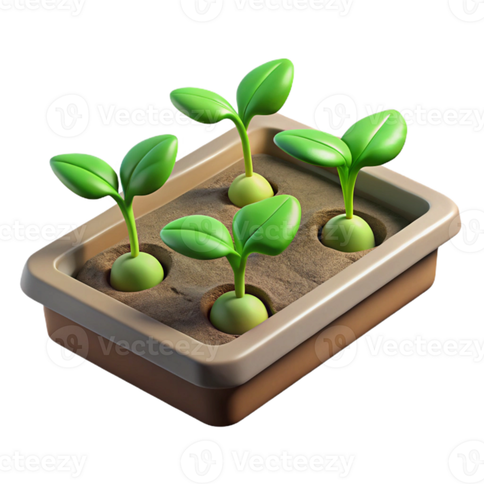 impressive rustic Seedling Tray Green Sprouts Transparent Background authentic png