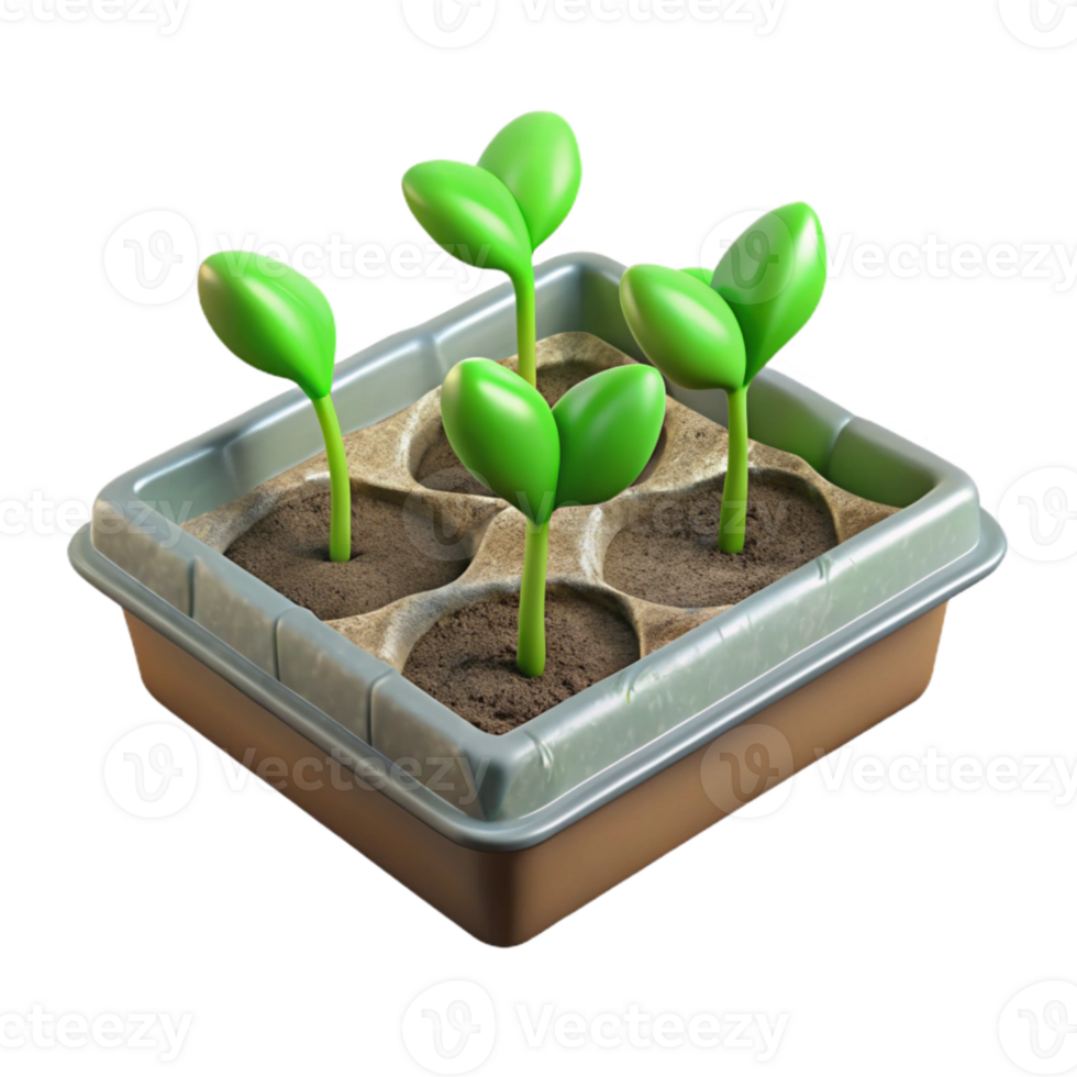 impressive artistic Seedling Tray Green Sprouts Transparent Background high resolution png