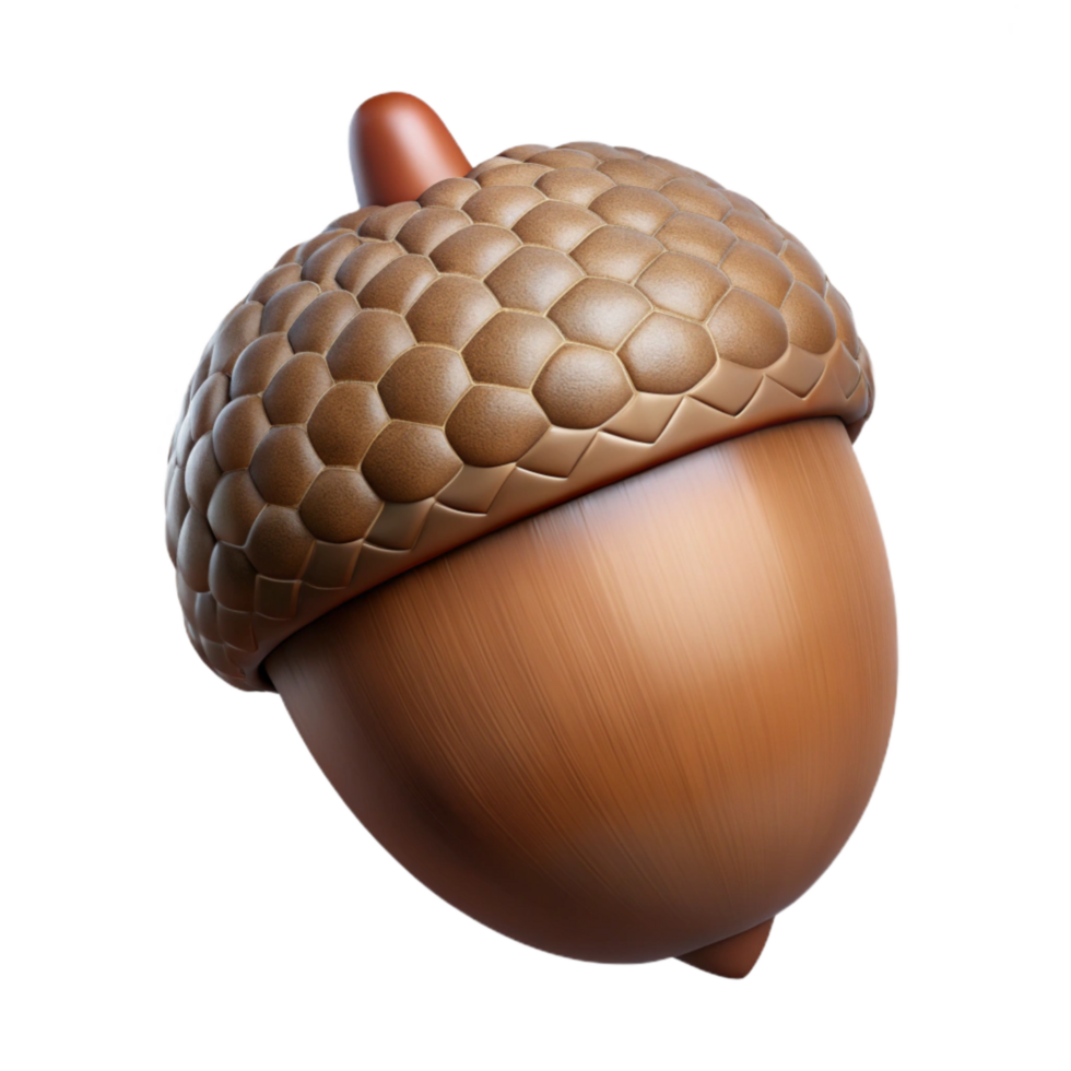 impressive modern Single Acorn Isolated Element original png