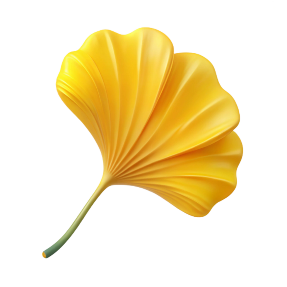 serene abstract Single Ginkgo Leaf Yellow Color Transparent exclusive png