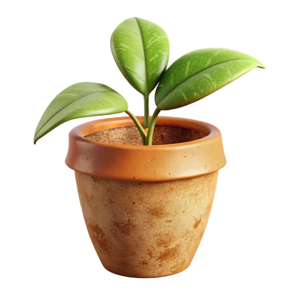 serene contemporary Single Houseplant in Terracotta Pot Isolated exclusive png