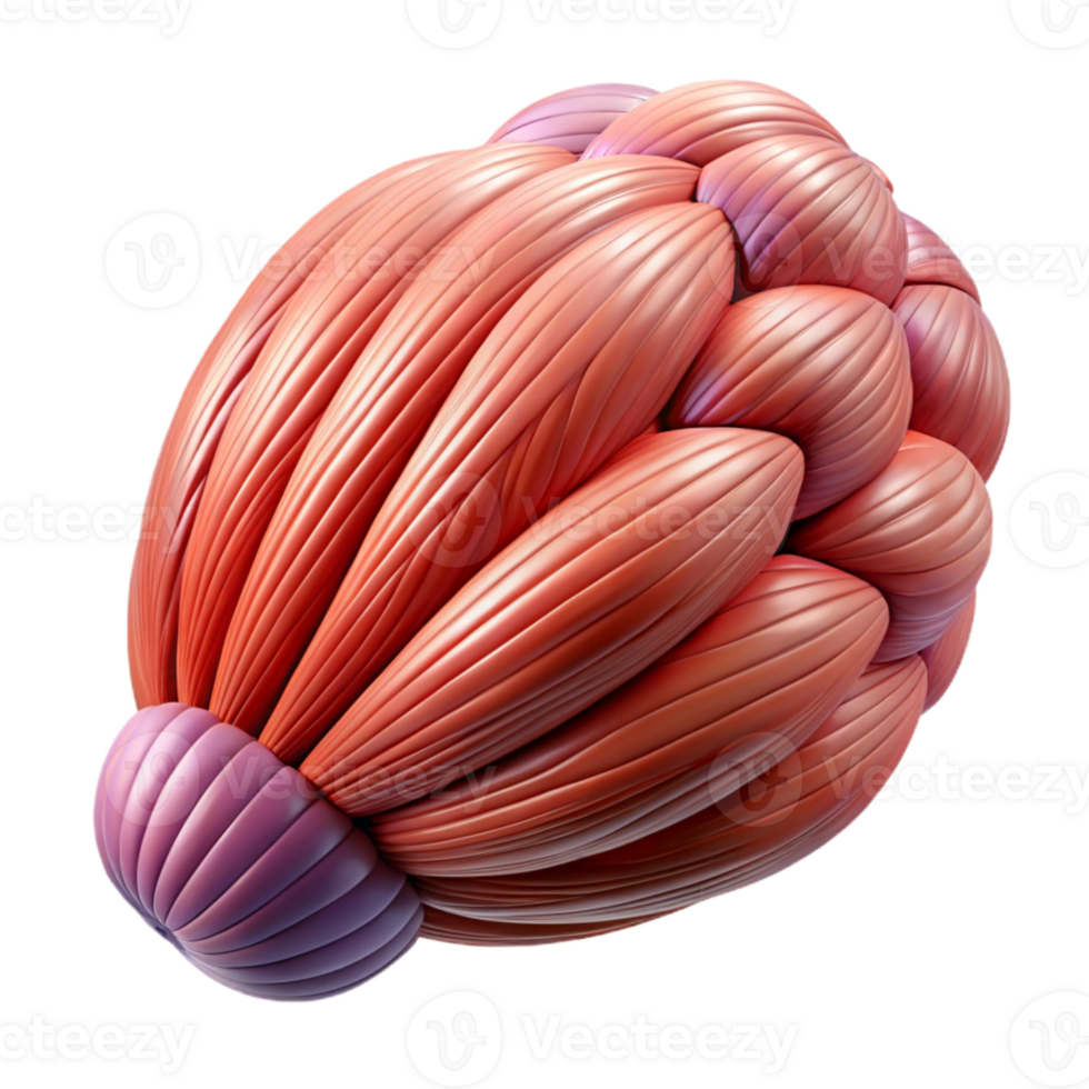 stunning vintage Synthetic Muscle Fiber Microscopic View Transparent Background png