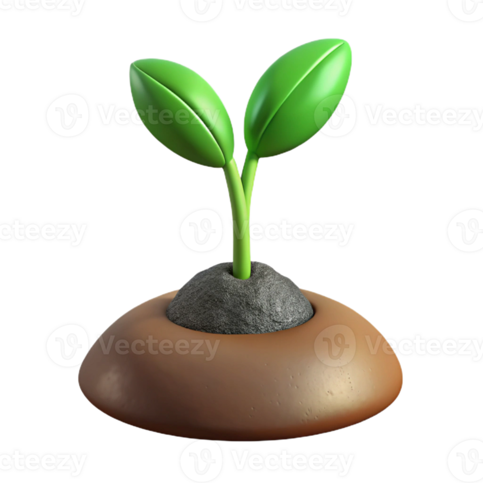 beautiful artistic Seedling Growing in Soil Isolated Cutout premium png