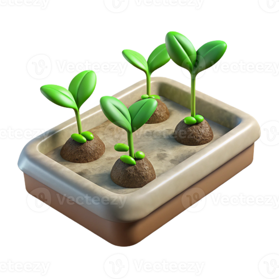 elegant rustic Seedling Tray Green Sprouts Transparent Background detailed png