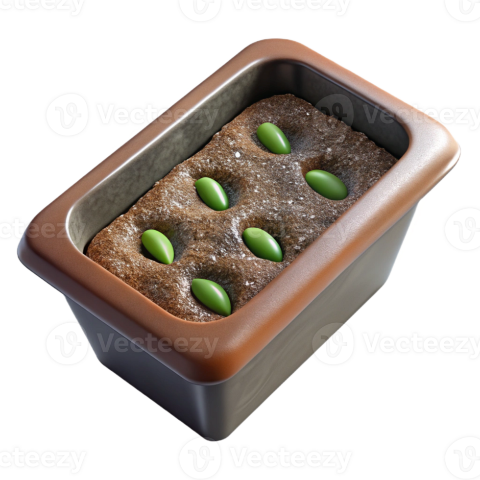 dramatic classic Seedling Tray Close Up Overhead View Transparent Background high resolution png