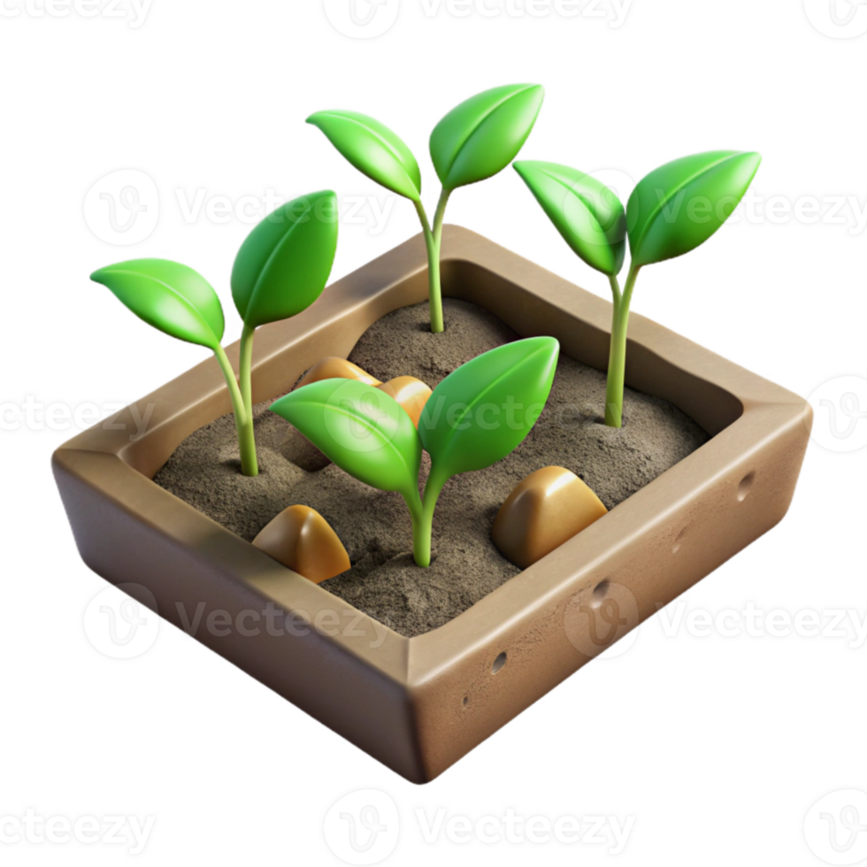 stunning modern Seedling Tray with Young Plants Top View Isolated Element authentic png