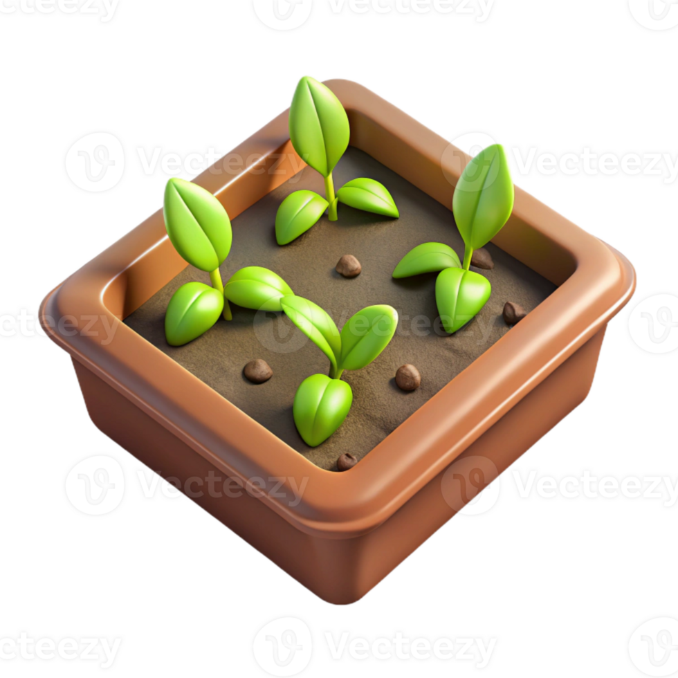 beautiful minimalist Seedling Tray with Young Plants Top View Isolated Element detailed png