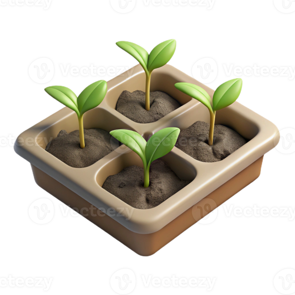 elegant creative Seedling Tray with Young Plants Top View Isolated Element png