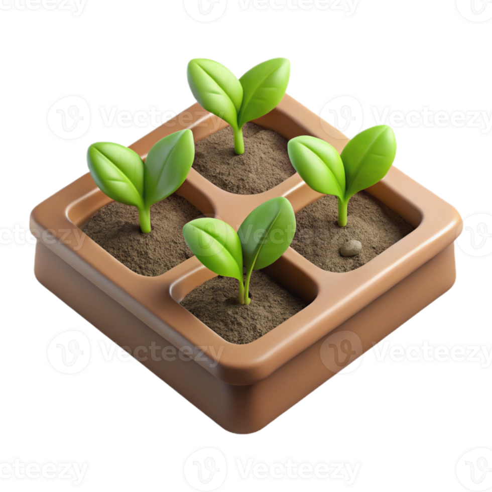 beautiful creative Seedling Tray with Young Plants Top View Isolated Element high resolution png