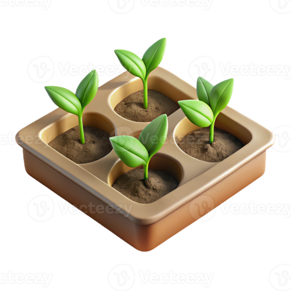 stunning modern Seedling Tray with Young Plants Top View Isolated Element high resolution png