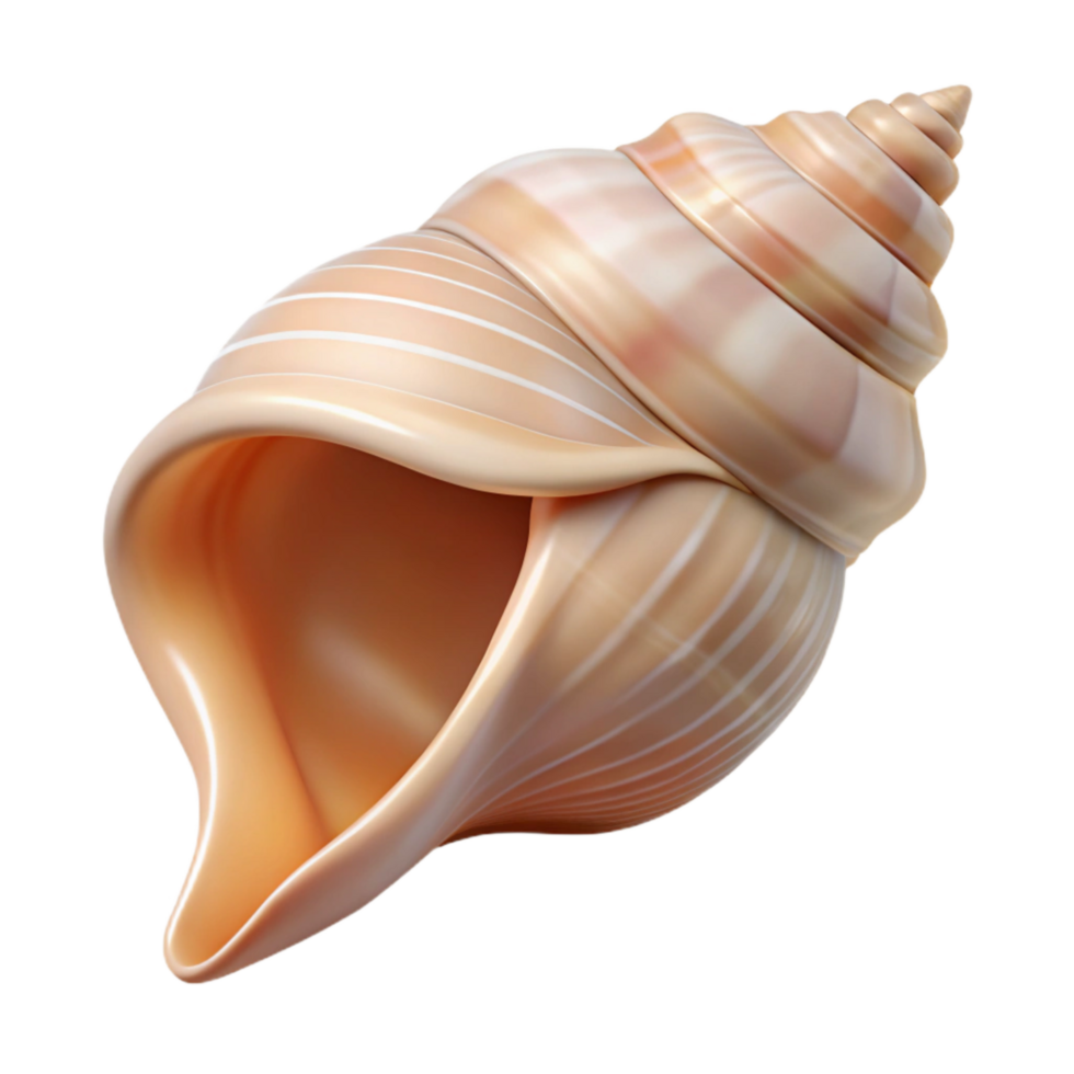 vibrant vintage Single Conch Shell Cutout Transparent Background png