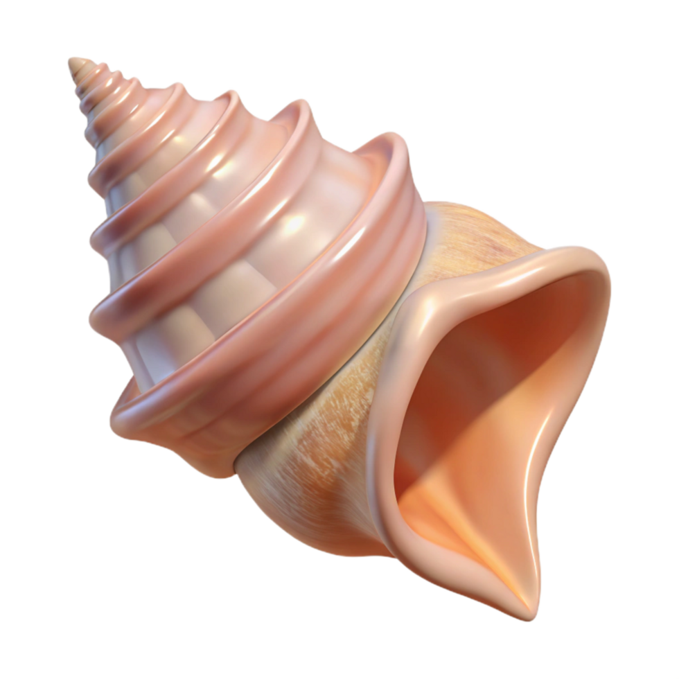 extraordinary contemporary Single Conch Shell Cutout Transparent Background png