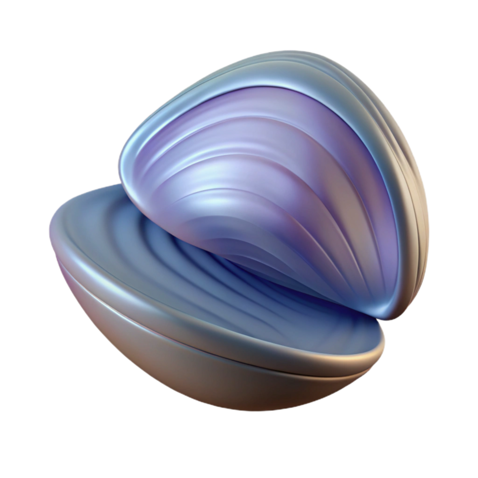 beautiful contemporary Single Mussel Shell Cutout Transparent Background authentic png