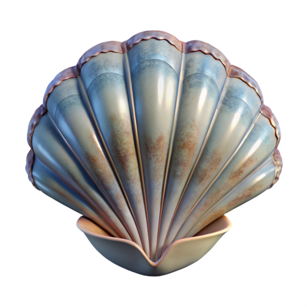 elegant traditional Single Scallop Shell Cutout Transparent Background premium png