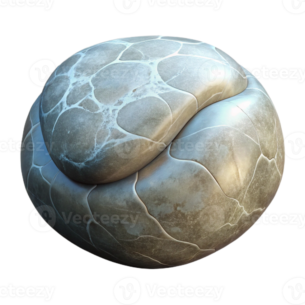 vibrant classic Stone Sculpture with Smooth Surface Transparent Background premium png