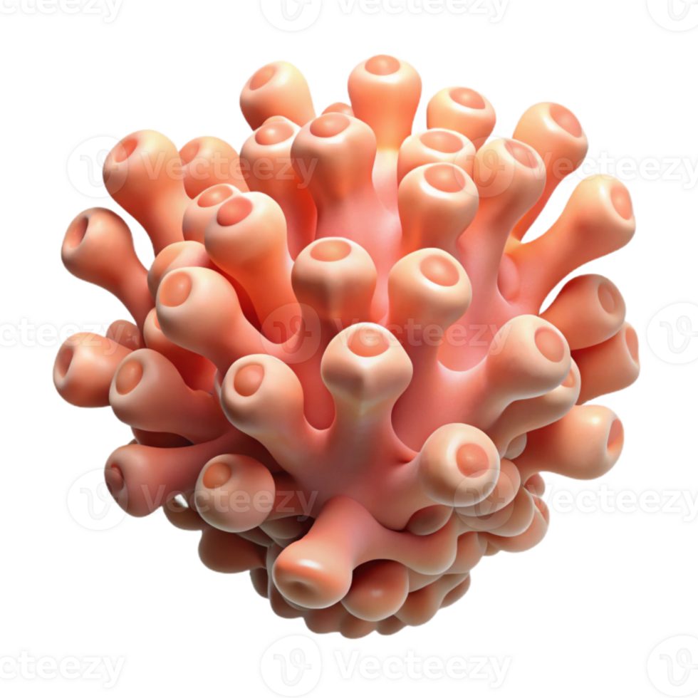 impressive vintage Underwater Coral Polyp Detail Isolated exclusive png
