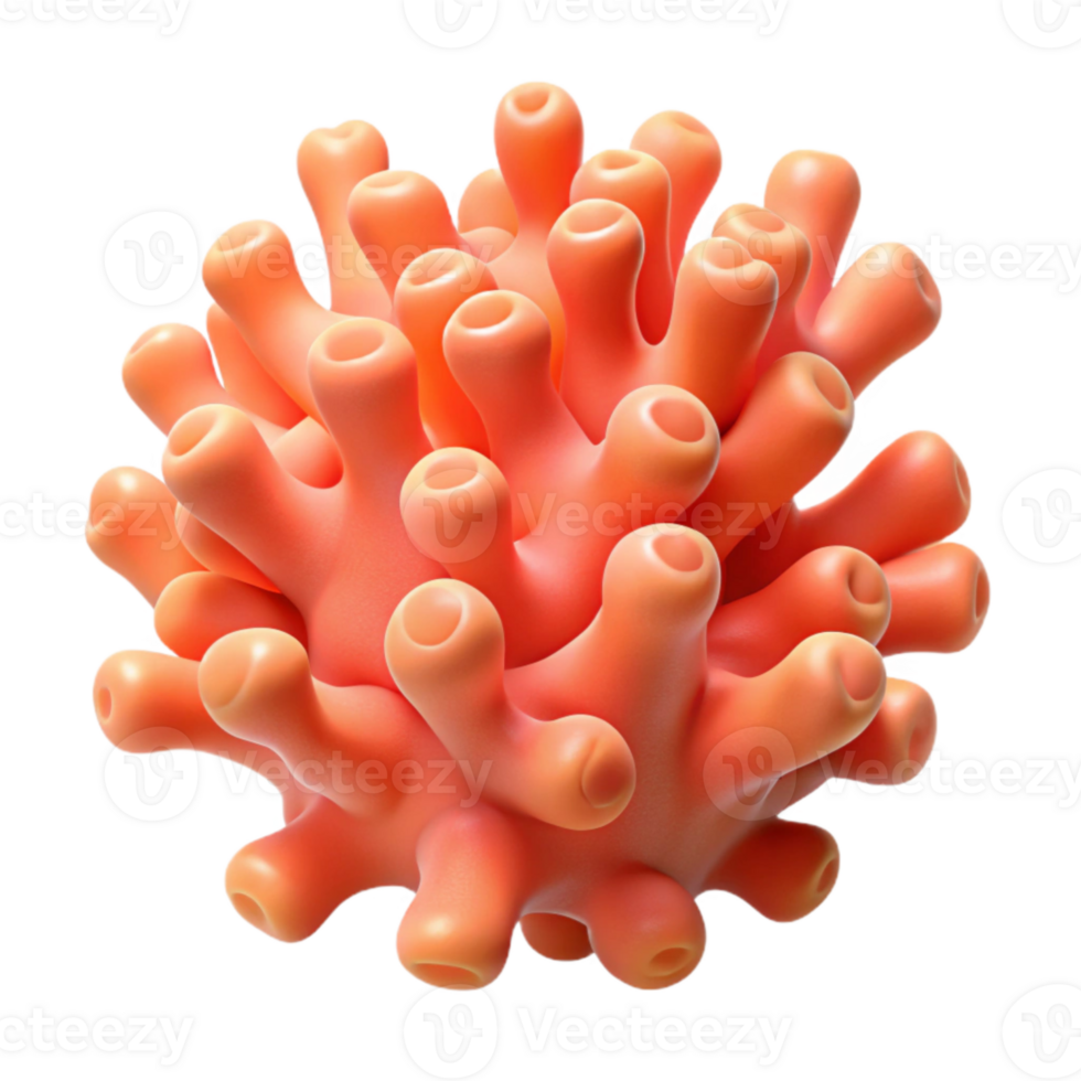 elegant contemporary Vibrant Coral Polyp Cutout Transparent Background png