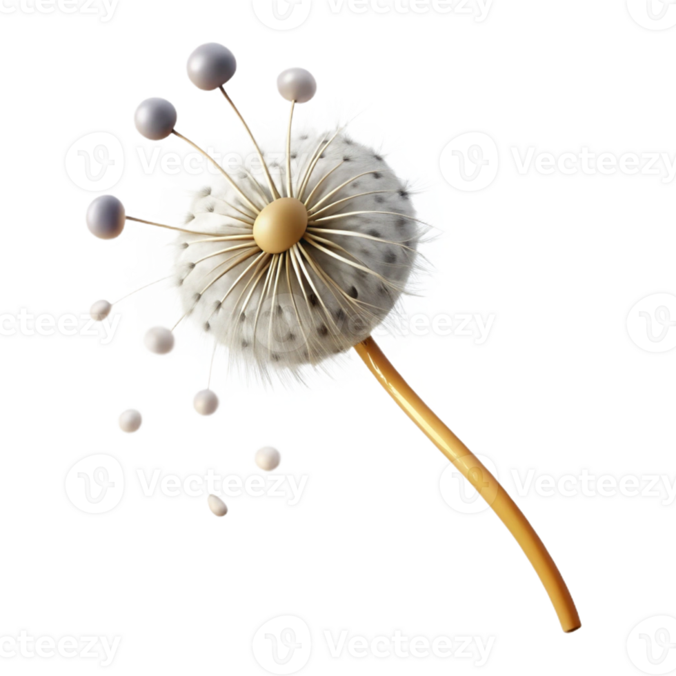 wonderful modern A Single Dandelion Seedhead with Seeds Blo high resolution png