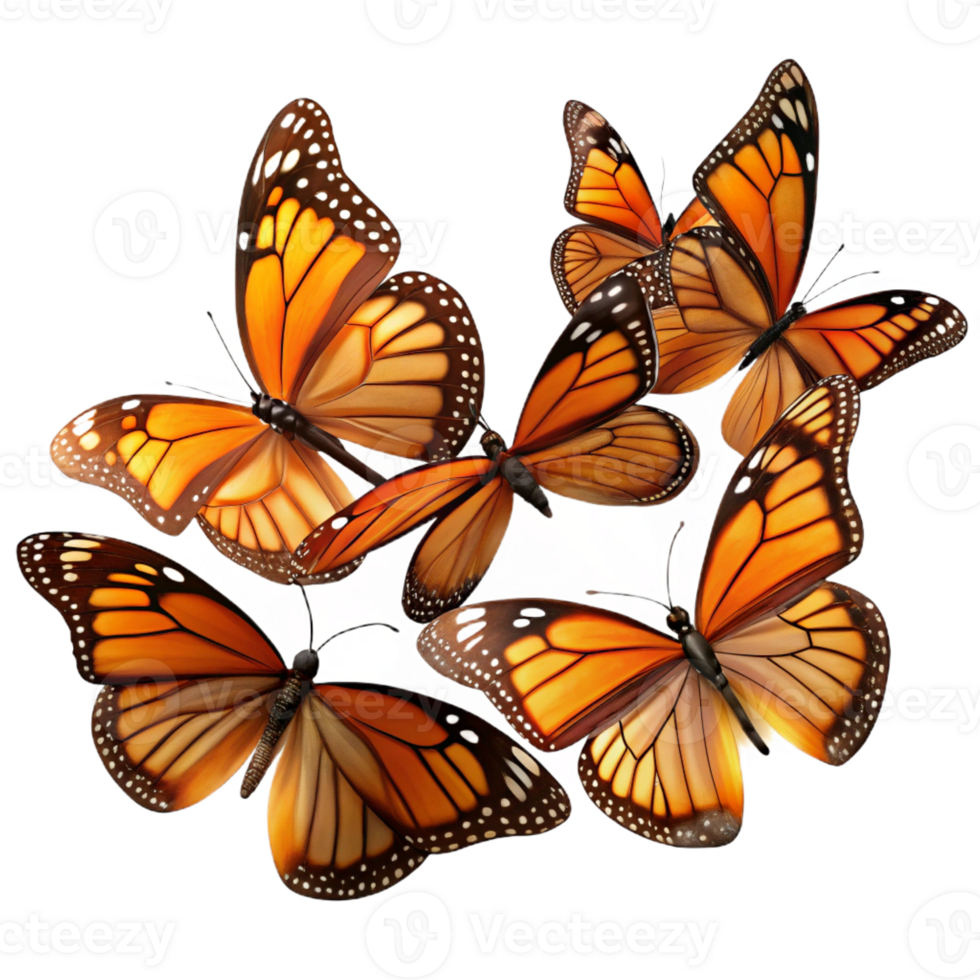 dramatic vintage A Swarm of Monarch Butterflies Migrating Au exclusive png