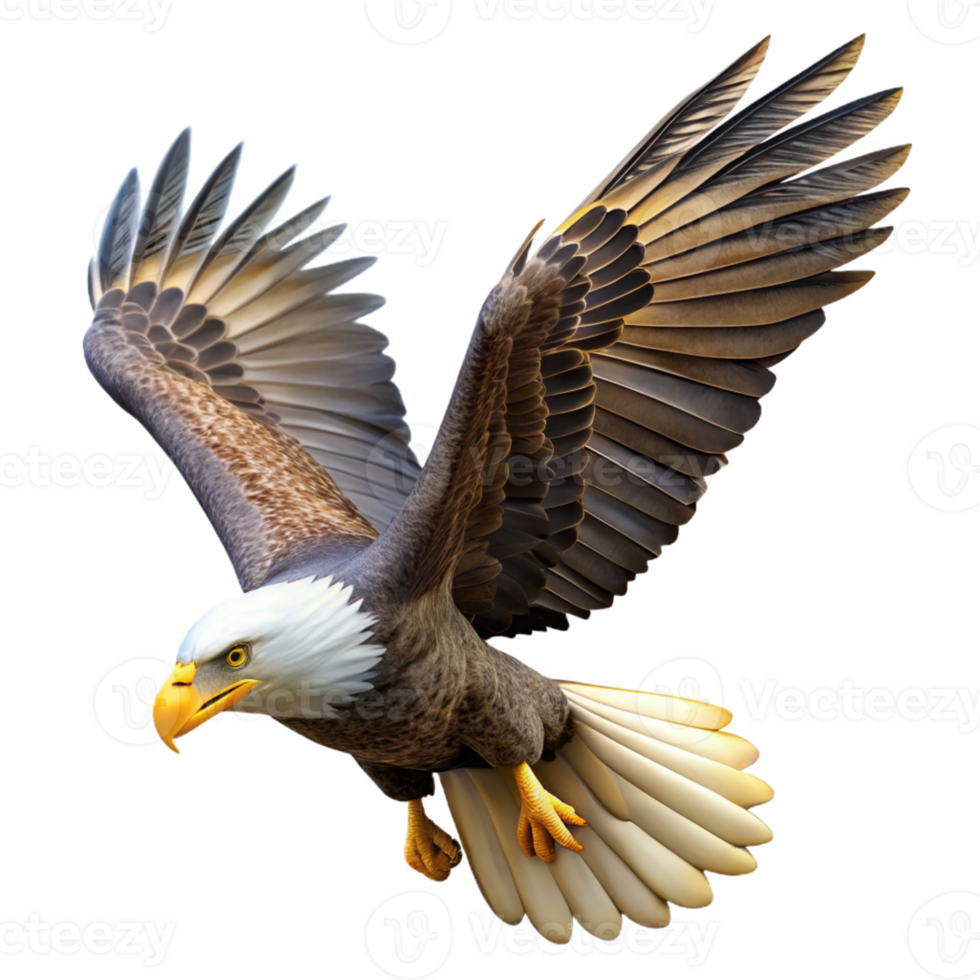 stunning artistic Majestic Bald Eagle in Flight 4K png