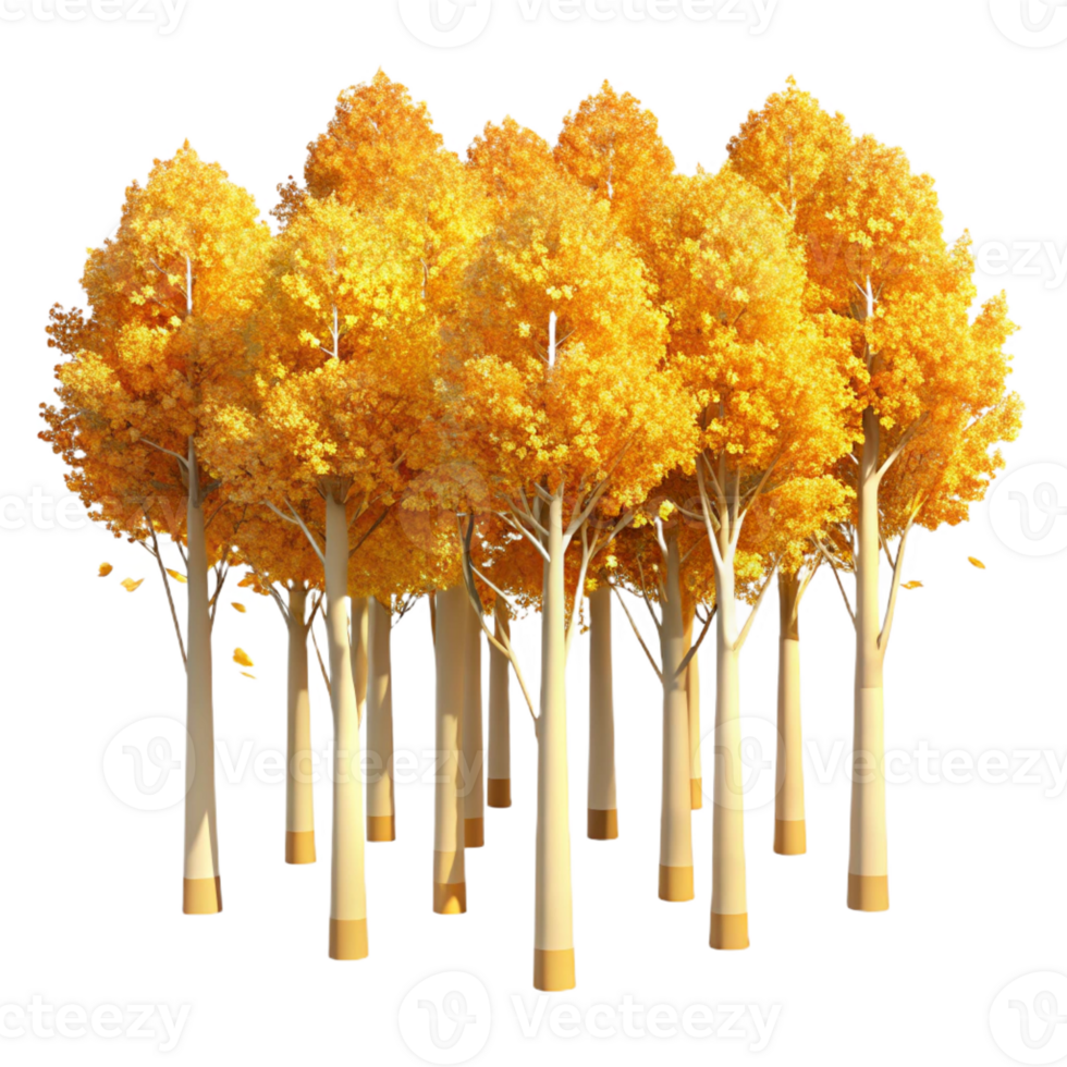 extraordinary contemporary A Grove of Aspen Trees with Golden Leaves high resolution png