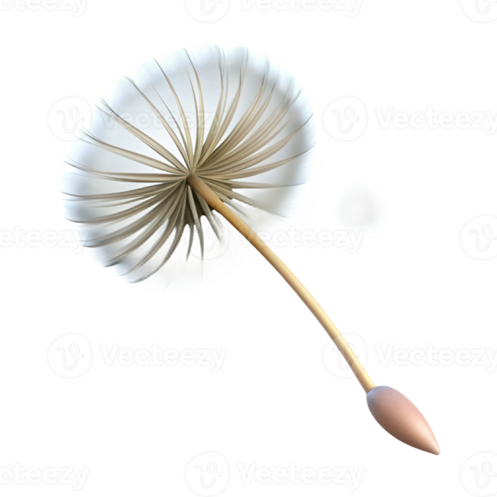 stunning vintage A Single Dandelion Seed Floating in the Wi genuine png