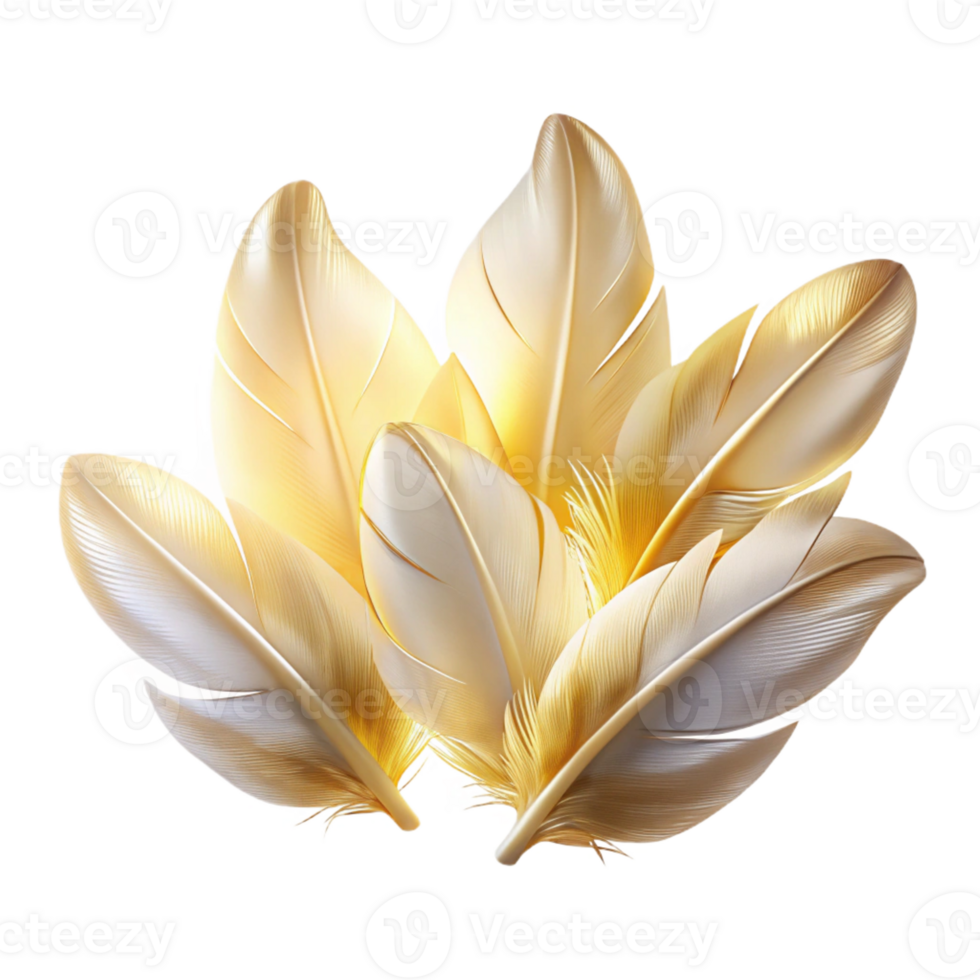 stunning rustic A Cluster of Delicate Translucent Feathe professional png
